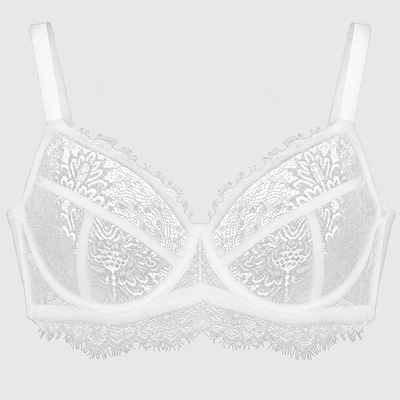 Ultra-Light Lace Underwire Push-Up Bra
